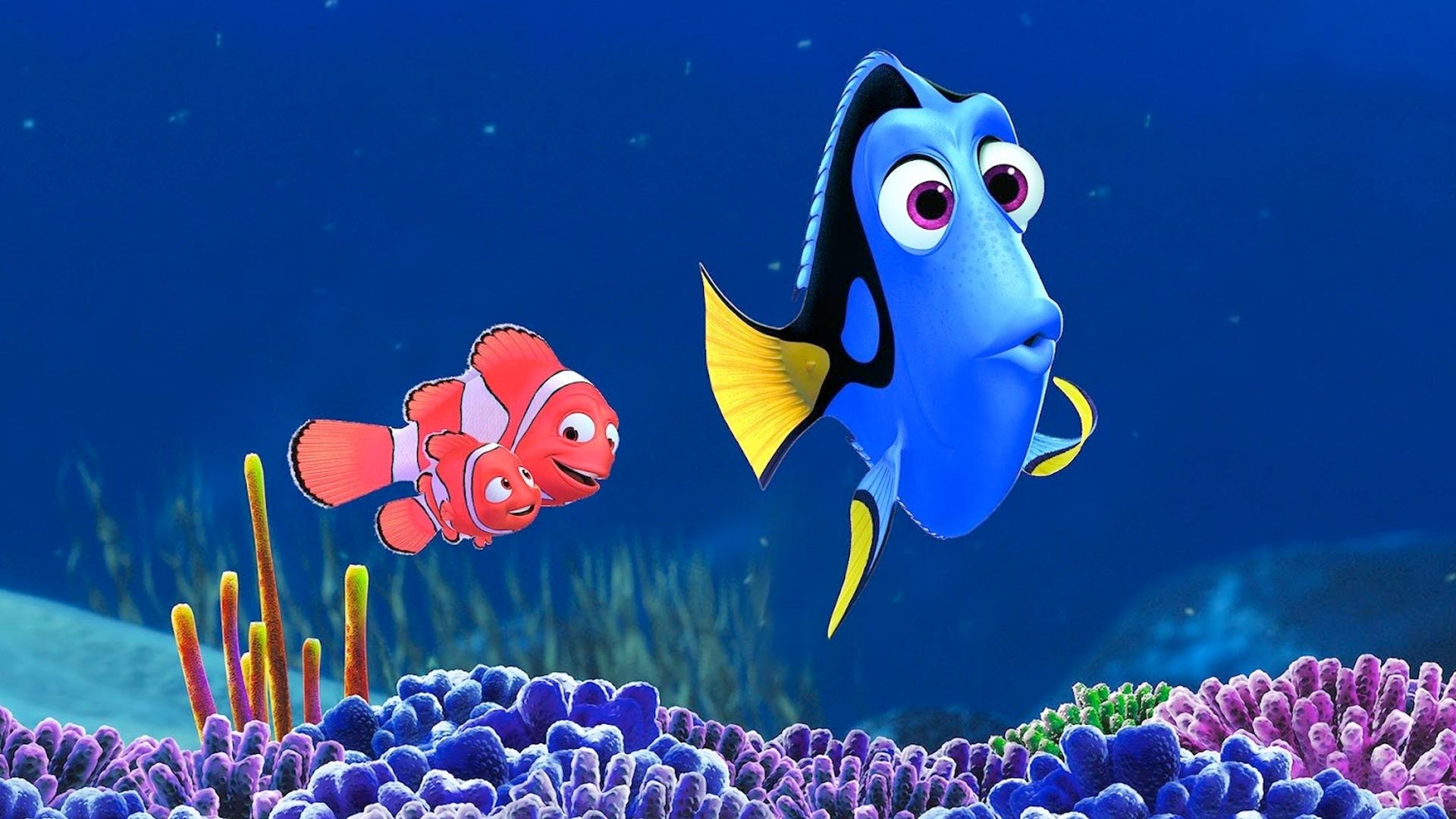 Finding Dory (2016)- After the Credits | MediaStinger1920 x 1080